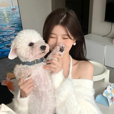 功夫小兔侠